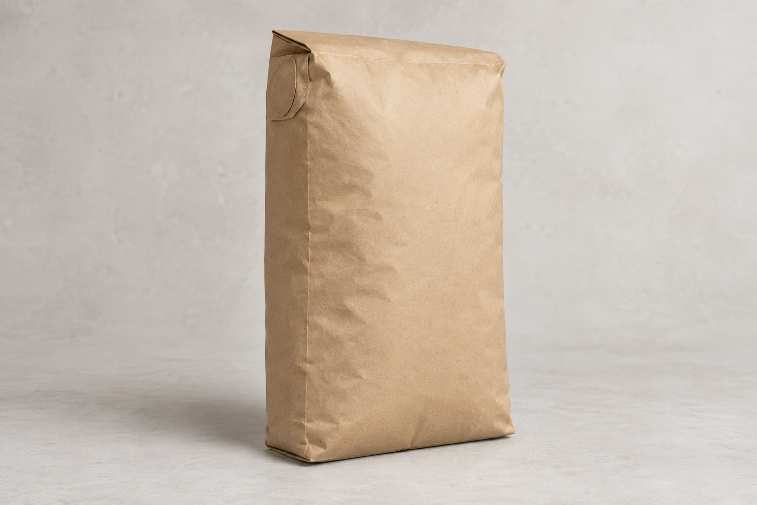 Paper valve sack study — AI generated fictional concept